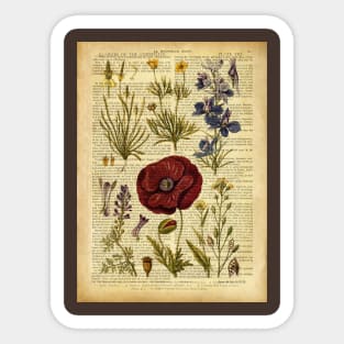 Botanical print, on old book page vintage - red poppy and garden flowers Sticker